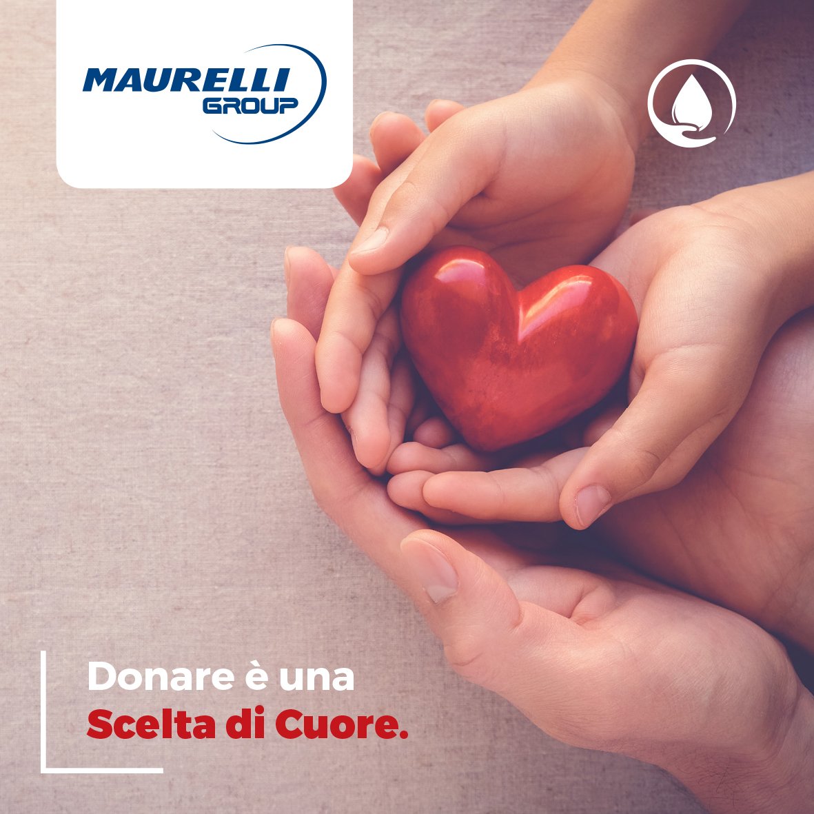 Maurelli group Donazioni